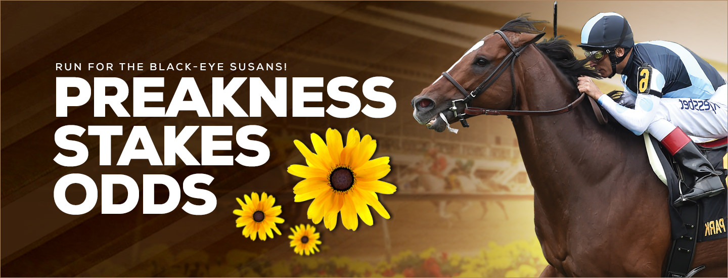 Preakness Odds, to win the 2021 Preakness Stakes | Horses Odds