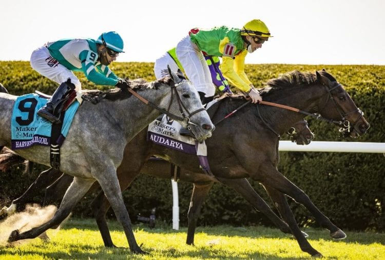 Arklow Aims High In United Nations Stakes BetUS Online Sportsbook