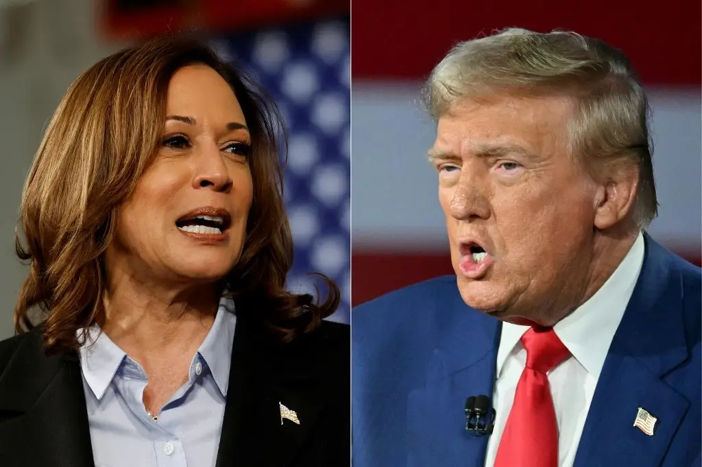 Trump vs. Kamala Voter Turnout Odds in the 2024 Presidential Election